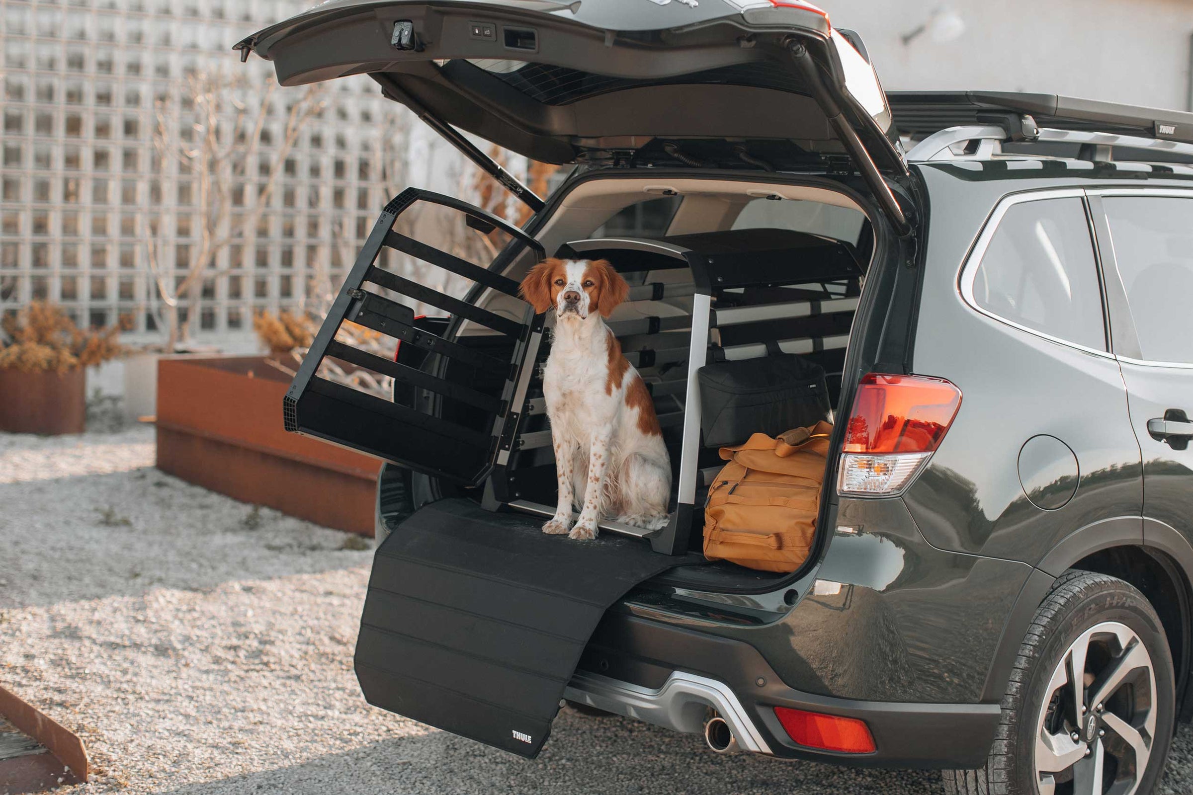 Thule Allax dog crate and dog crate accessories keep you dog safe and comfortable in transport