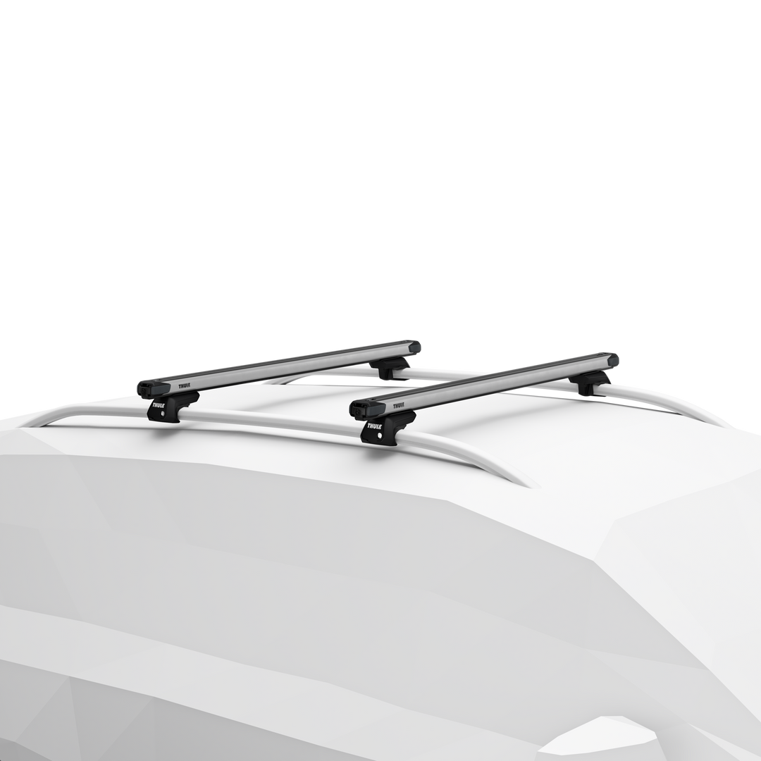 Thule golf roof rack hotsell